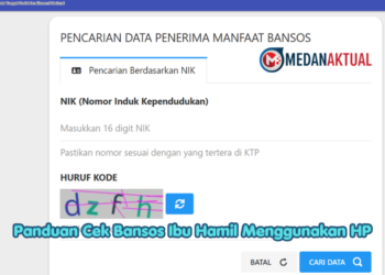 Panduan Cek Bansos Ibu Hamil Menggunakan HP