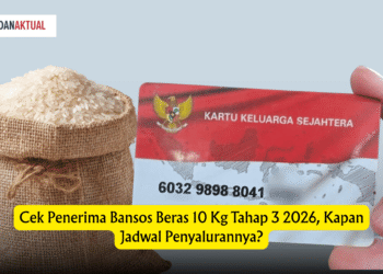 Cek Penerima Bansos Beras 10 Kg Tahap 3 2026, Kapan Jadwal Penyalurannya?