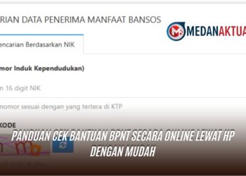 Panduan Cek Bantuan BPNT Secara Online Lewat HP dengan Mudah