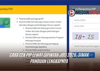 Cara Cek PIP Lewat SIPINTAR Juli 2026, Simak Panduan Lengkapnya