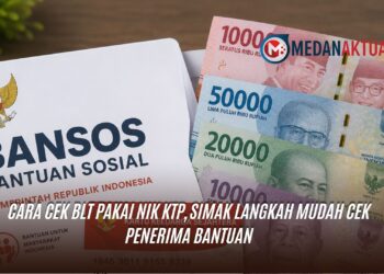 Cara Cek BLT Pakai NIK KTP, Simak Langkah Mudah Cek Penerima Bantuan