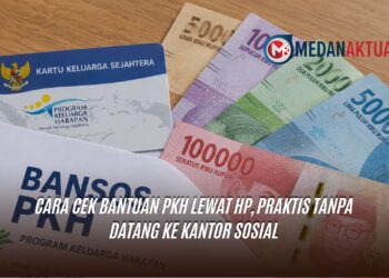 Cara Cek Bantuan PKH Lewat HP, Praktis Tanpa Datang ke Kantor Sosial