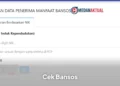 Cek PKH dan BPNT Juli 2026 Secara Online Menggunakan NIK KTP