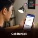 Cara Cek Bansos BPNT Juli 2026 Secara Online