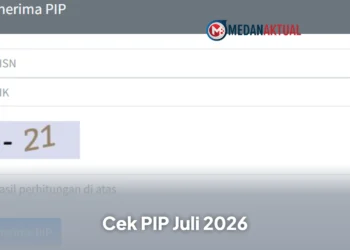 Cara Cek PIP Juli 2026 Secara Online Lewat HP, Mudah dan Praktis