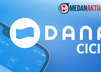 Panduan Praktis Cara Mengajukan DANA CICIL via DIANA